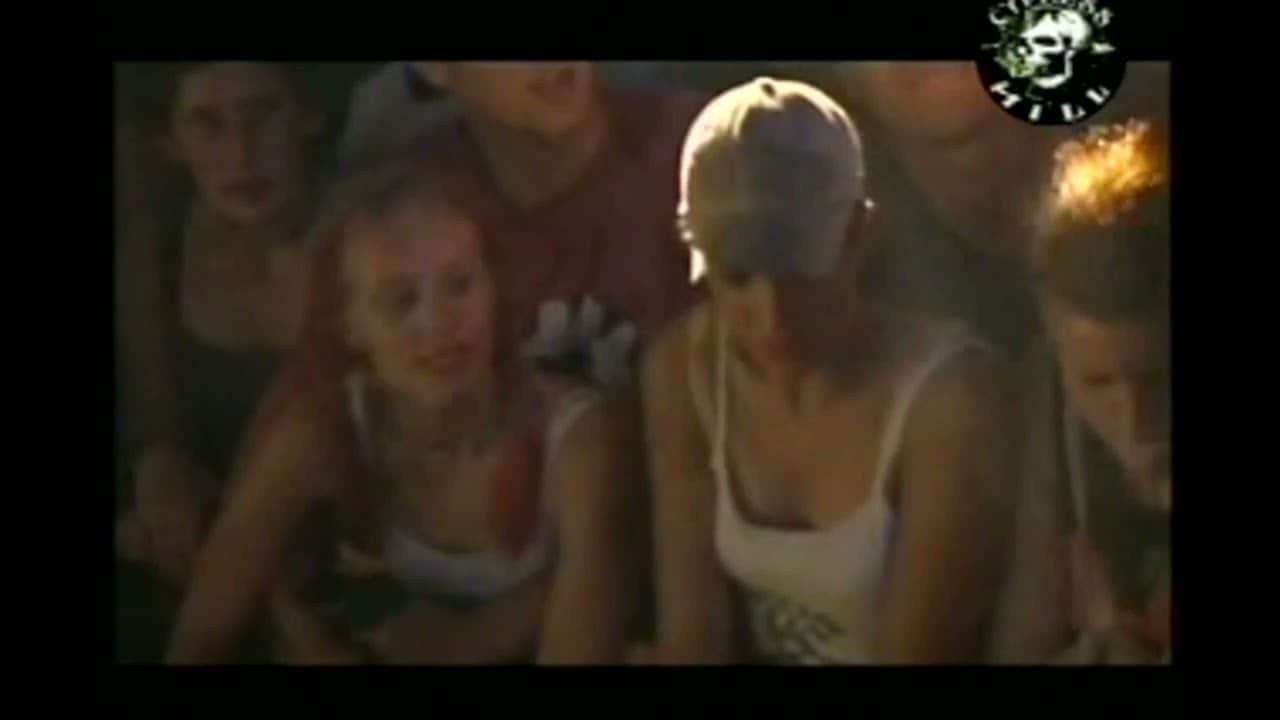 Live Concert at Lowlands Festival, Biddinghuizen, Netherlands 2000