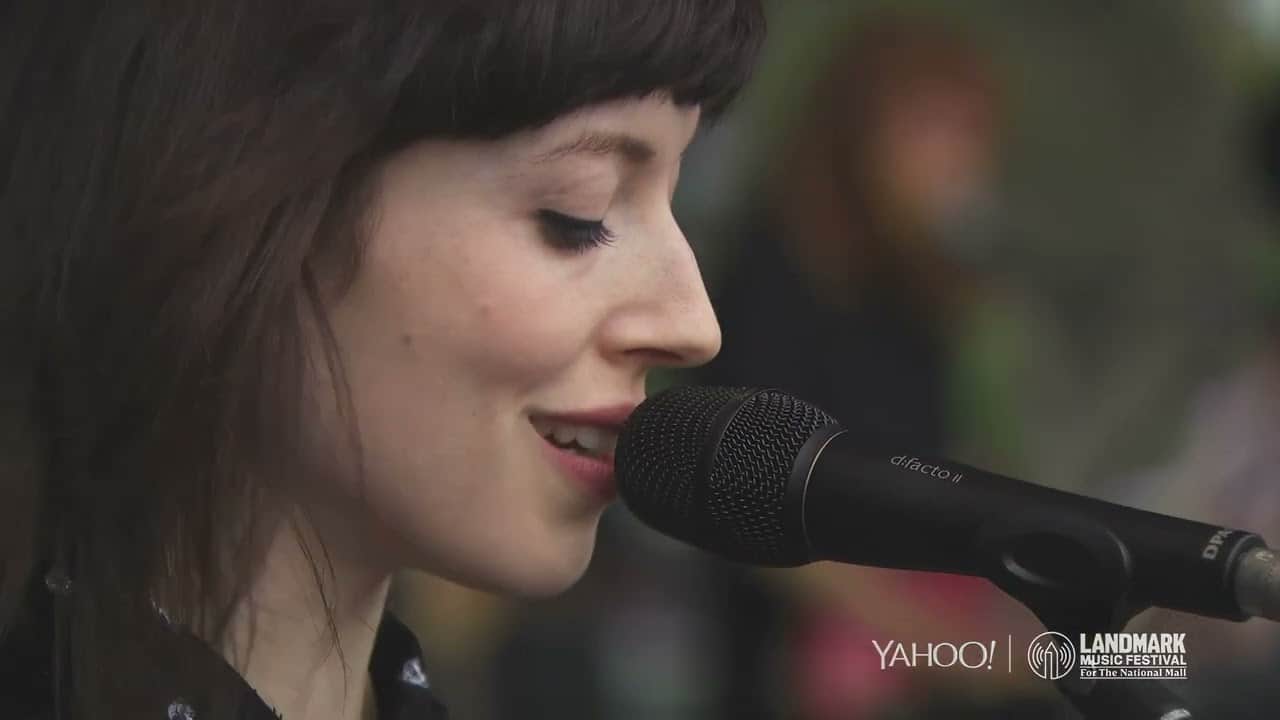 Live Concert at Landmark Music Festival, Washington, D.C., USA 2015