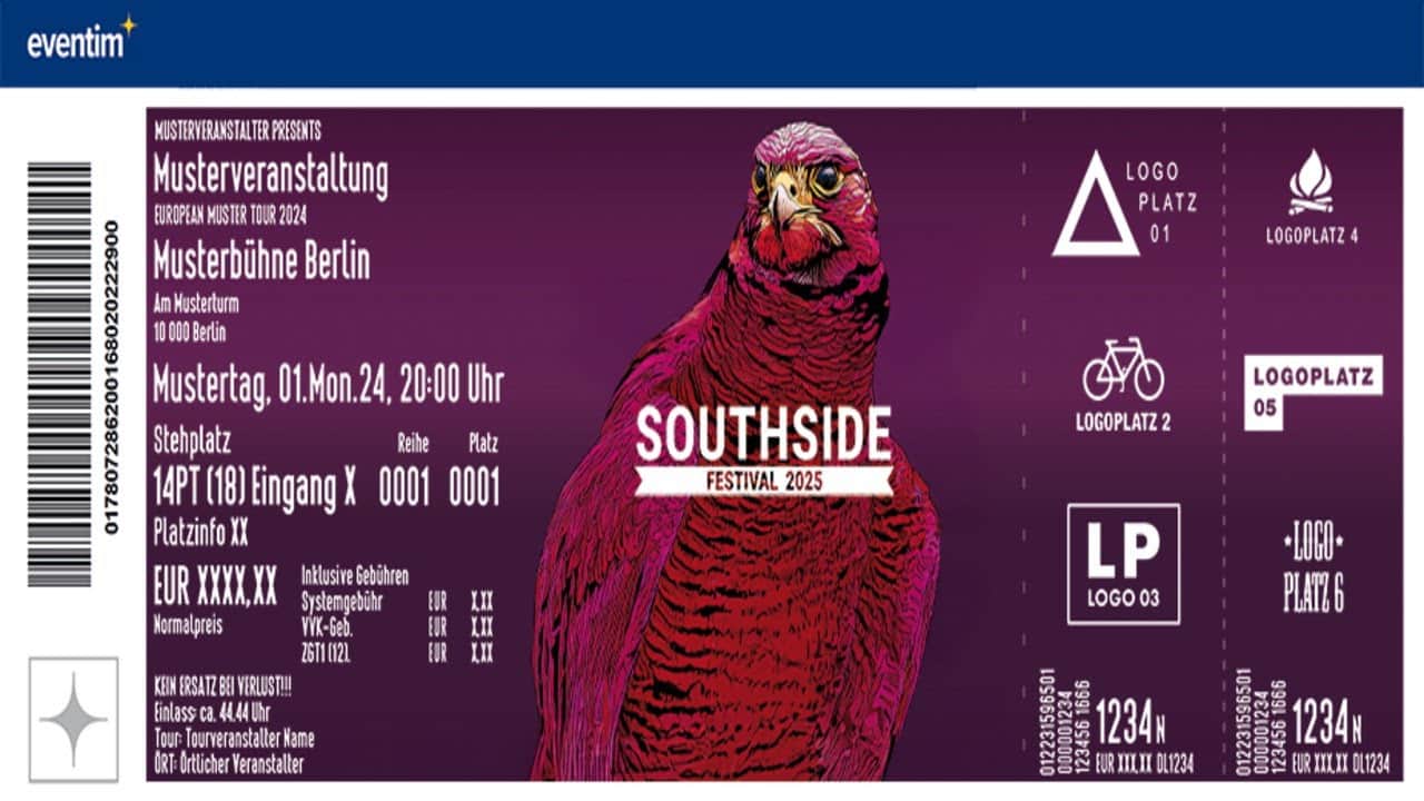 Live Concert at Southside Festival, Neuhausen ob Eck, Germany 2013