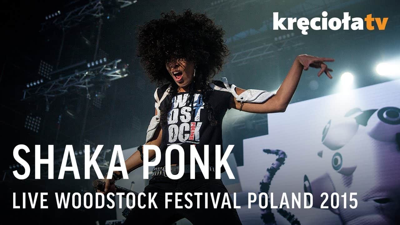 Live Woodstock Festival Poland, 2015