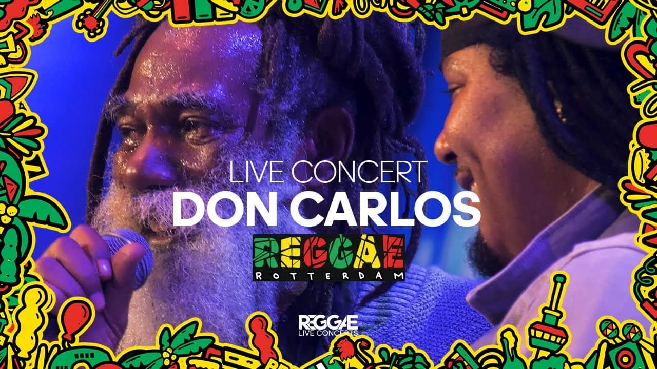 Live Concert at Reggae Rotterdam Festival, Rotterdam, Netherlands 2023