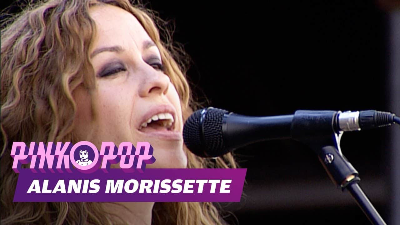 Live Concert at Pinkpop, Landgraaf, Netherlands 2008