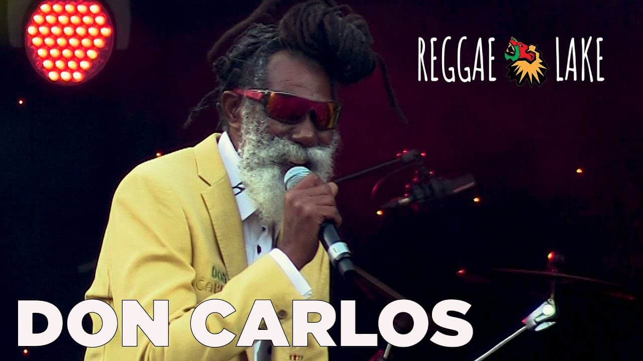 Live Concert at Reggae Lake Festival, Amsterdam, Netherlands 2019
